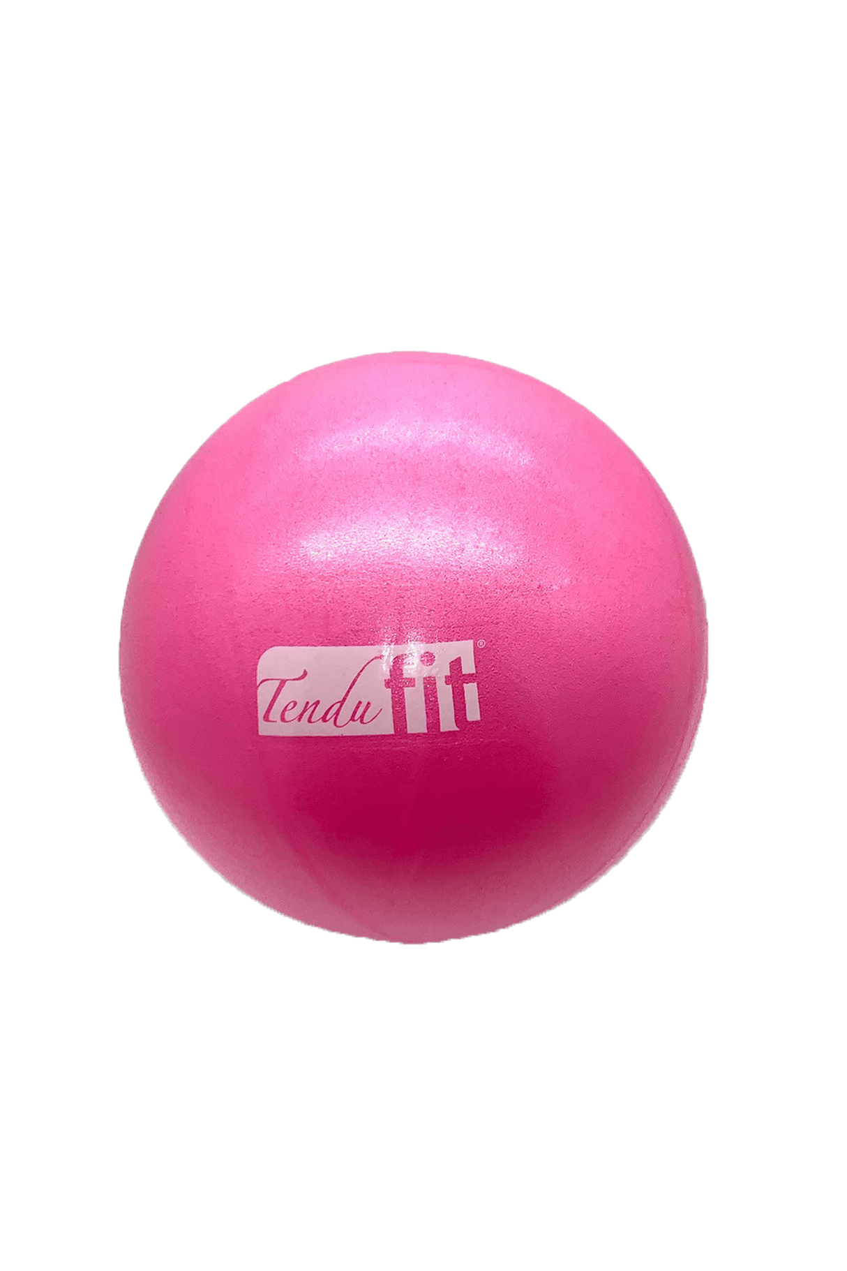 Tendu Trainings Ball